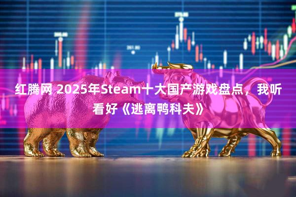 红腾网 2025年Steam十大国产游戏盘点，我听看好《逃离鸭科夫》