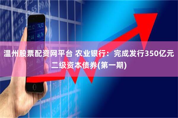温州股票配资网平台 农业银行：完成发行350亿元二级资本债券(第一期)